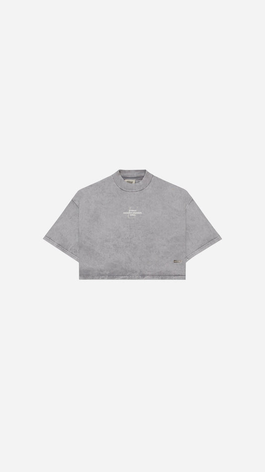 CAMISETA  CROPPED - GRIS