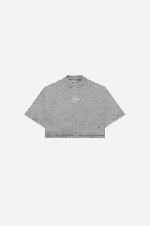 CAMISETA  CROPPED - GRIS