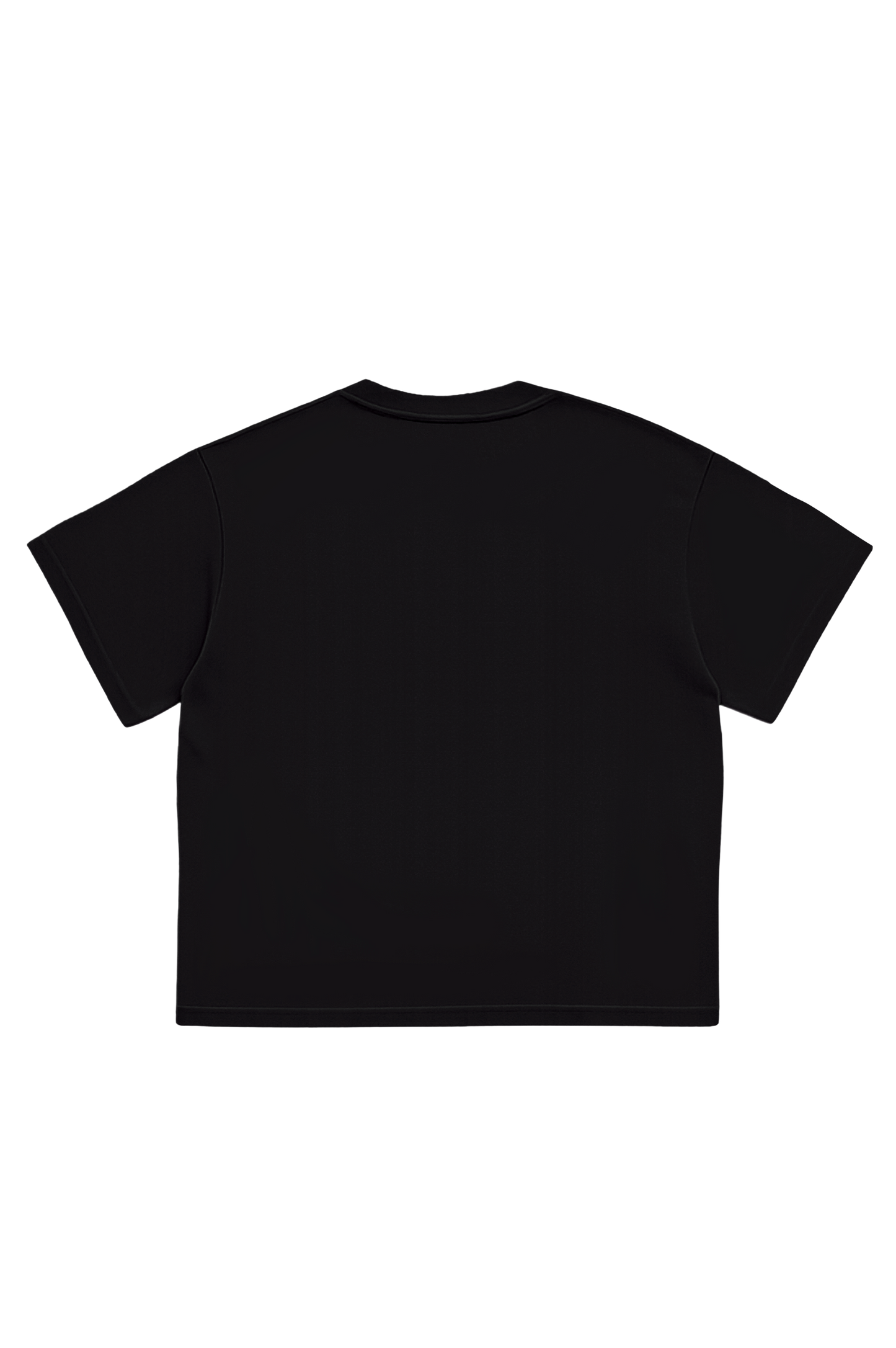 LA CANCION HIT T-SHIRT