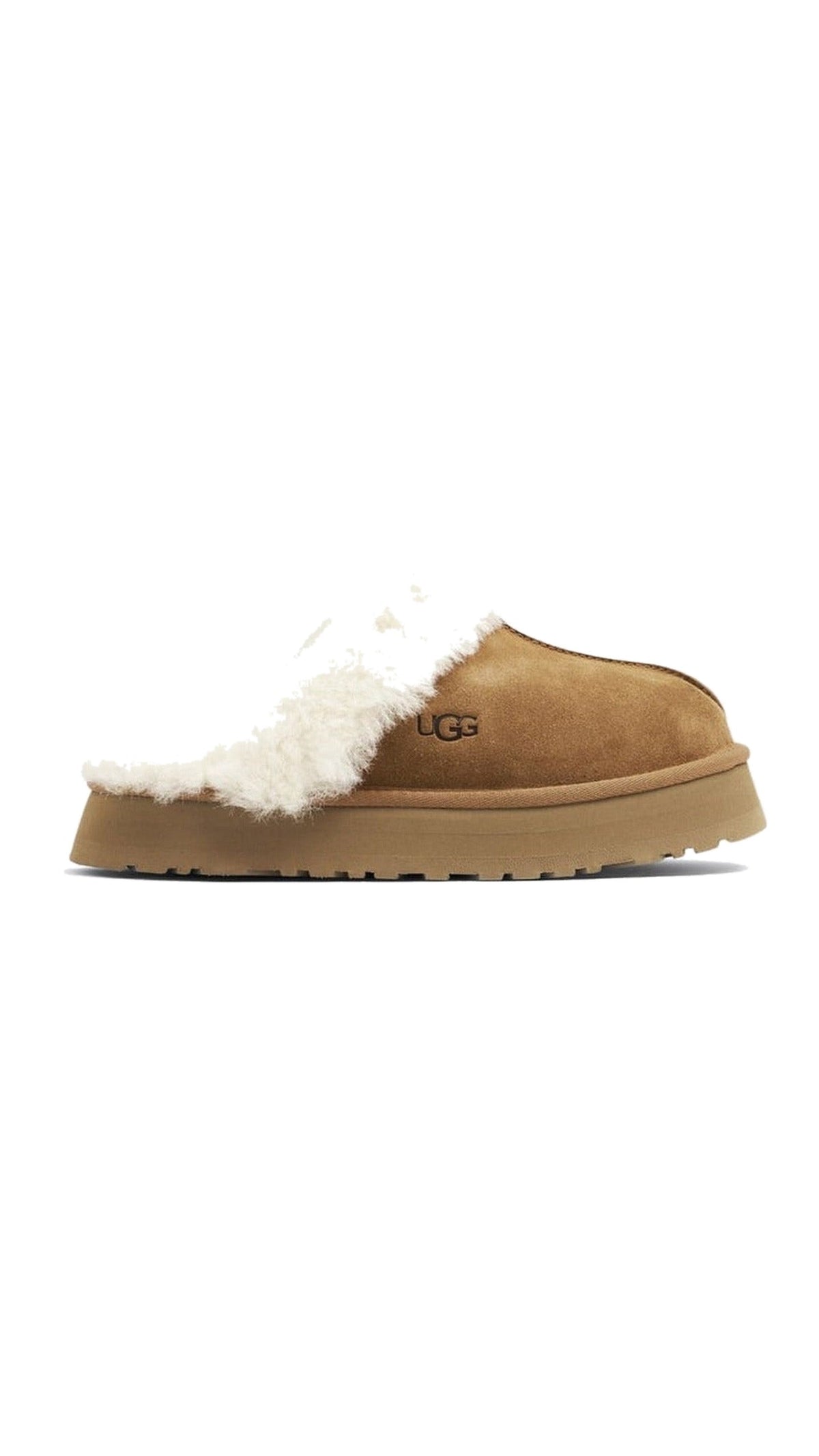 DISQUETTE W CHESTNUT